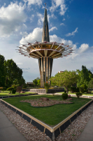 tulsa303