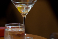 skirvin-bar0020