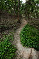 boiling-springs0156