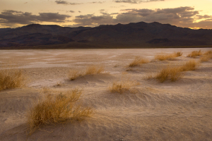 death_valley0031A