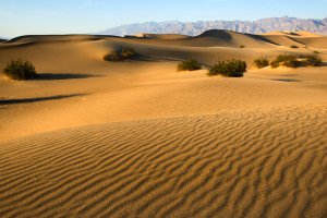 dvalley0395a