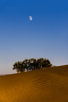 dvalley0461