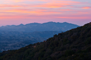los-padres-forest019