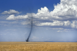masaimara0315