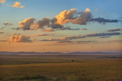 masaimara0383