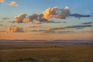 masaimara0383