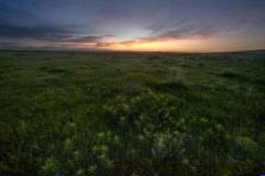 tallgrass prairie