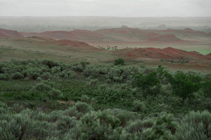 western-ok-0176