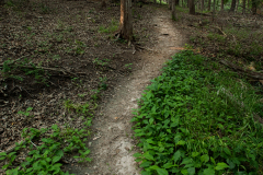 boiling-springs0156