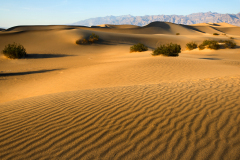 dvalley0395a