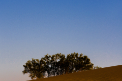 dvalley0461