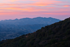 los-padres-forest019