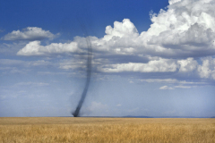 masaimara0315
