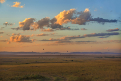 masaimara0383