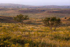 northwest-ok248