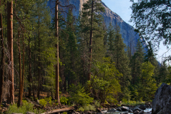 yosemite0218