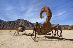 anzaborrego0038