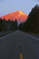 mtshasta0004