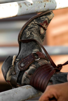 woodward_rodeo1235a