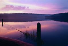 cedar lake