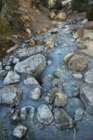 lassennp0037