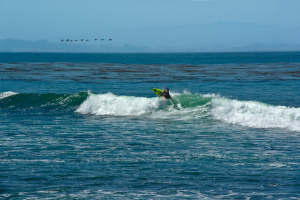santacruzbeach0097
