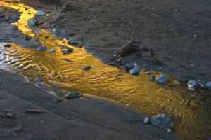 wilsoncreekbeach0028