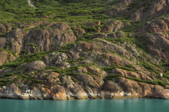 alaska
