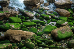 1_atlantic-low-tide-Portugal-046