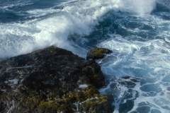 aruba013a