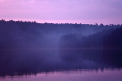 cedar-lake.1