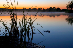 experiment-lake-0530