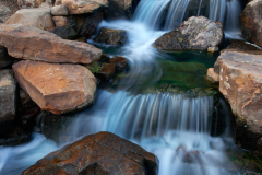 m_gardens0015