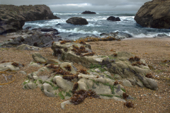 moonstone-beach0020A