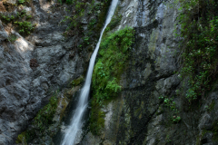 pfeifferbigsur0055