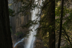 yosemite0167