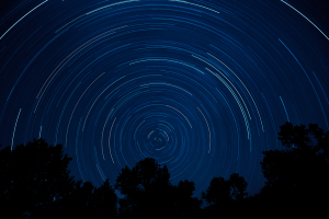 bristlecone0121c