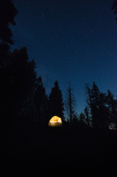 sequoia0207