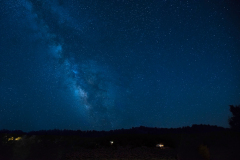 bristlecone0108AB