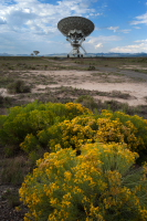 nrao015
