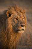 masaimara0141b
