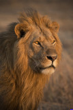 masaimara0141b
