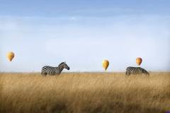 masaimara0203t