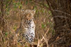 masaimara0229b