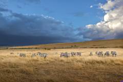 masaimara0769B