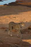 samburu0314
