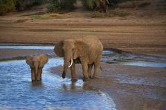 samburu0397