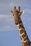 samburu0648
