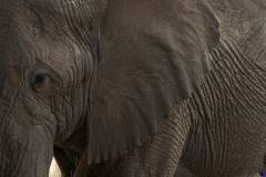 samburu0953
