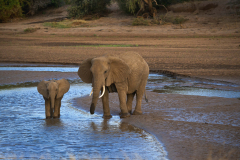samburu0397